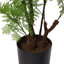 Faux Fern Plant in Pot Liner-1490946677
