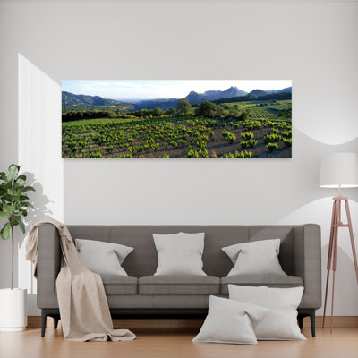«Vineyard Dentelles De Montmirail», art contemporain contemporain