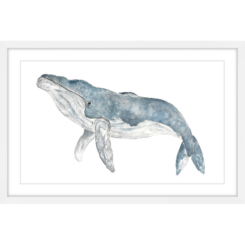 «Humpback Whale» par Thimble Sparrow, reproduction encadrée, H 24 po x l 36 po x P 1,5 po