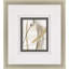 Scroll Series II Framed Art