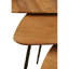 Nichole Nesting Tables