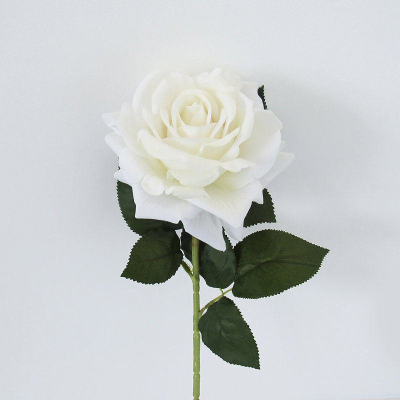 Grandes tiges roses en velours, Blanc crème