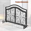 Robinett 1 Panel Iron Fireplace Screen