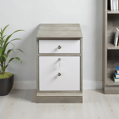 Samul 2 Vertical Filing Cabinet