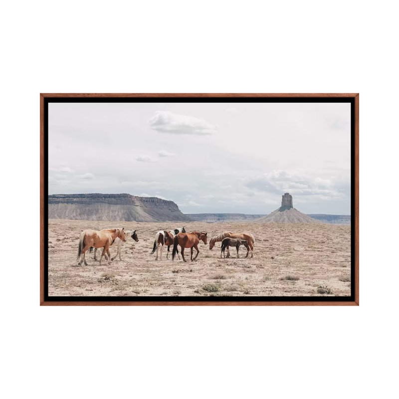 « arizona », photographie, H 18 po x l 26 po x P 1,5 po, Toile avec cadre en bois classique