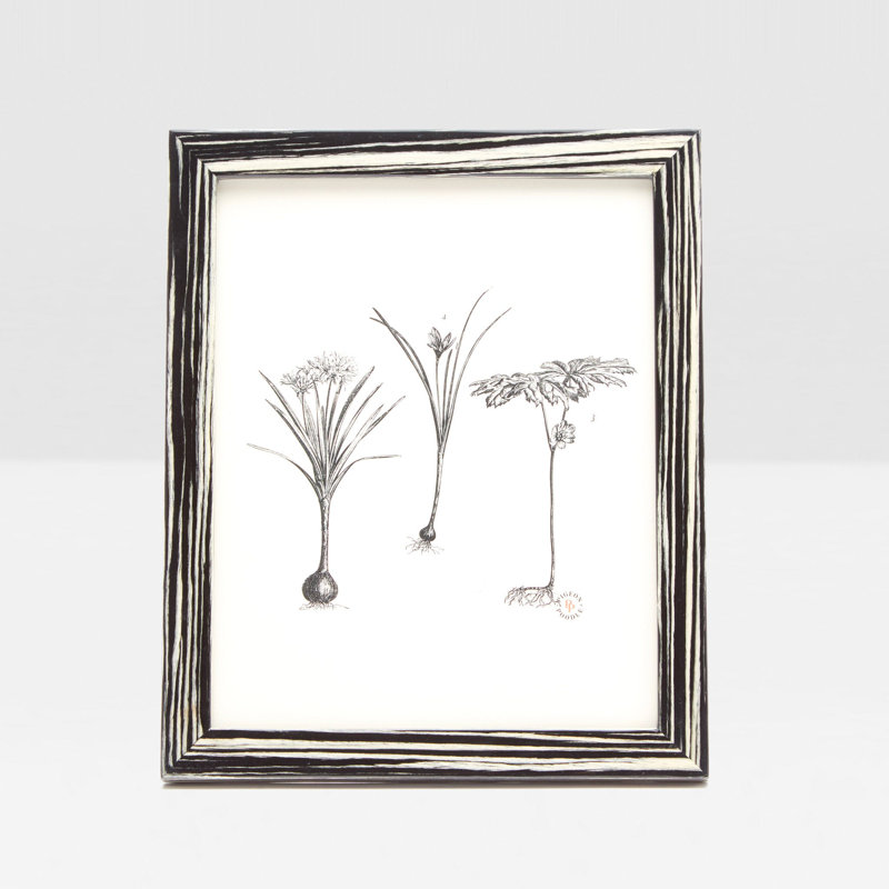 Steinfeld Picture Frame
