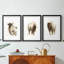 «Rustic Bull II», impression encadrée sur mesure de qualité supérieure mate - 3 pièces-607174408-607174409