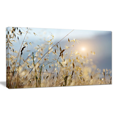 Typique, Toscane, coucher de soleil, Italie - reproduction de photo sur toile tendue