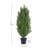 Shirlene Faux Cedar Tree Topiary in Pot-91855033