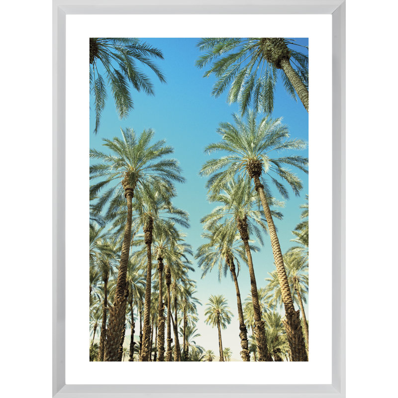 Beverly Hills Palms - Print on Wood