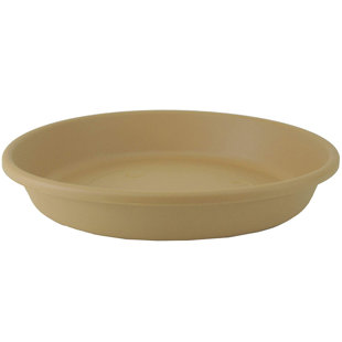 Stone Saucer Plant Stand