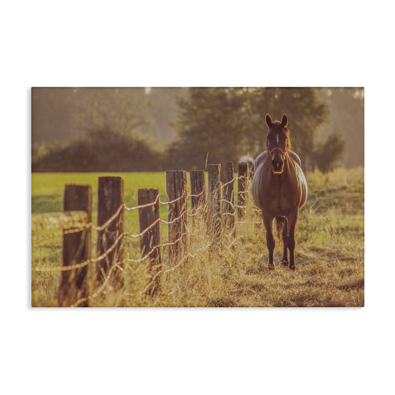 Toile «Horse's Farm at Dawn», conception par Norm Stelfox, H 16 po x l 24 po