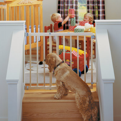 Safety Gate