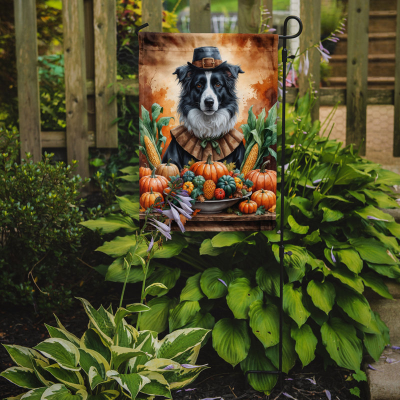 Drapeau du jardin de l'Action de grâce, Border collie