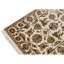 Oriental Area Rug in Beige/Ivory/Brown