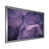 Silver Picture Framed