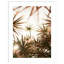 «Starlight Through Palms» par Daisey Wood, reproduction d'art encadrée-959956767-959956760