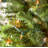 50.5' 100-Light String Lights-31889550