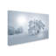 «A Cold Winter Morning» par Philippe Sainte-Laudy - reproduction de photo sur toile tendue-23093345