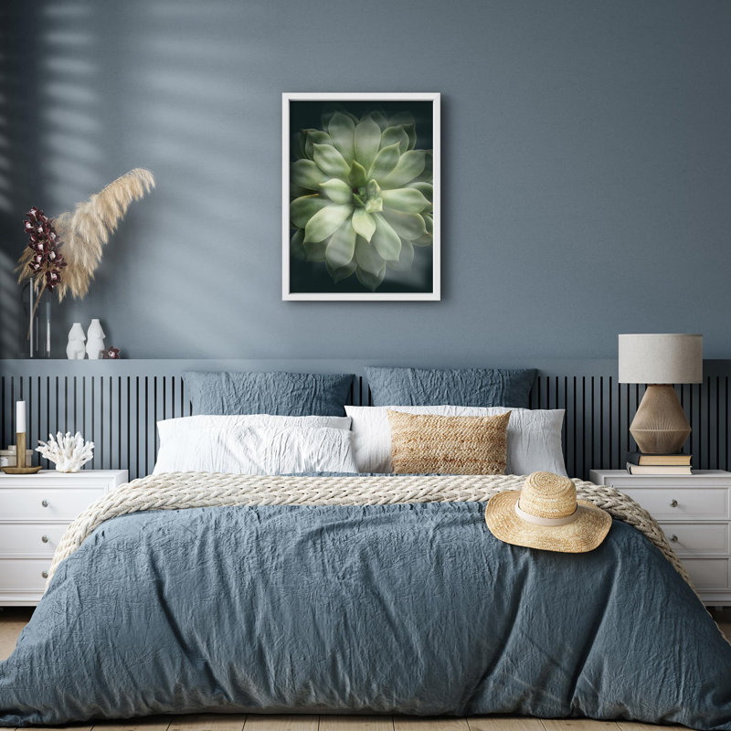 Petit vert riche, Echeveria, plante grasse, tranquillité, Illustration de la nature, petite œuvre d'art, Blanc