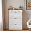 Armoire à chaussures avec 2 tiroirs-1616247930