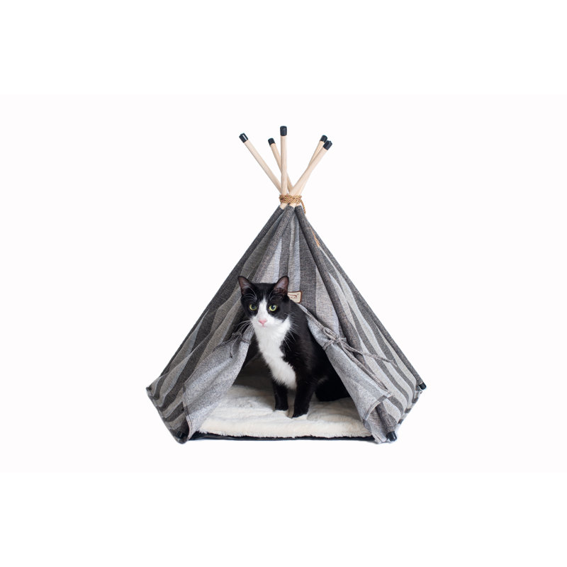 Lit pour chat Specialty