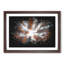 Autumn Forest Reaching Upward - Single Picture Frame Print on MDF-56891291-56891292