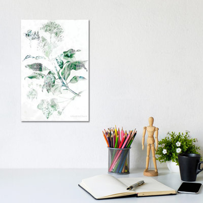 Verbena Botanical by Bluebird Barn - Wrapped Canvas Painting