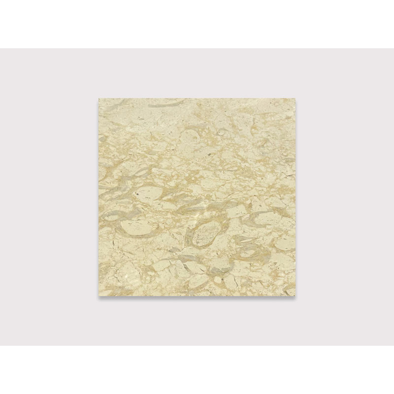 Pearl Zeno 16" x 16"