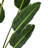 Jorah Faux Palm Tree in Pot Liner-1811551219