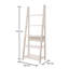 Gardi 175.5cm H x 64cm W Ladder Bookcase-123754584-17613457