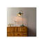Todd Metal Desk Lamp