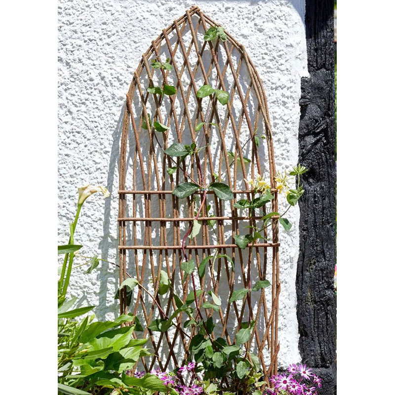 Willow Gothic Wave Trellis