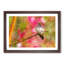 Hummingbird - Picture Frame Graphic Art Print-56632460-56632456
