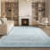 Olius Performance Oriental Rug