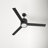 52'' Ceiling Fan with LED Lights-1310493163