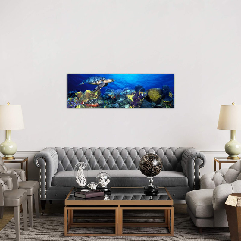 Hawksbill Turtle (eretmochelys Imbricata) and French Angelfish (pomacanthus Paru) with Stoplight Parrotfish (sparisoma Viride) 1 Piece Wrapped Canvas Panoramic Wall Art