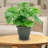 Ailynn Round Imperial Ceramic Outdoor Planter - Gray-1857609946-1857609947