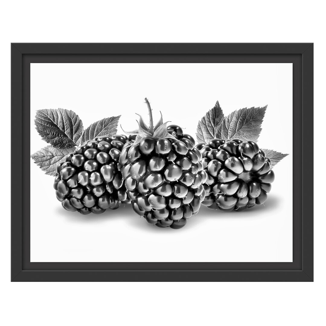 Gerahmtes Wandbild Leckere Brombeeren