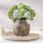 Ceramic Flower Vase, 5.3 Inch Pottery Farmhouse Rustic Vase, Handcrafted Weathered Vases, Small Flower Terracotta Vases For Home Decor, Living Room, Table, Shelf, Mantel, Neutral-1653325329