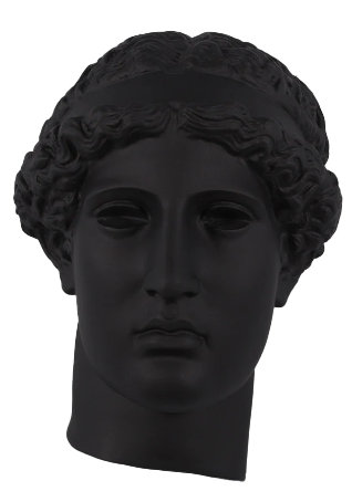 Aafia David Head Statue