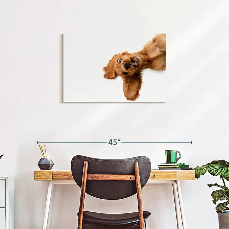 Brampt Happy Cocker Spaniel Puppy, 20" H x 30" W