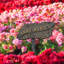 TLC Personalized Garden Sign-806799501-808080819