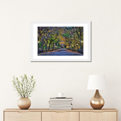 " Central Park Night " Color Photography Print