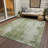 Machine Washable Indoor/Outdoor Claudian ACN1649 Sage Rug-104345727
