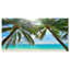 Palmier suspendu sur une plage de sable blanc - reproduction de photo sur toile tendue-590073792-603073661