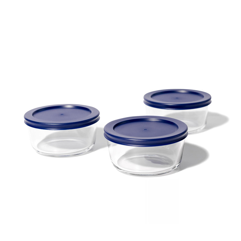 Donicio 16oz. Food Storage Container, Blue