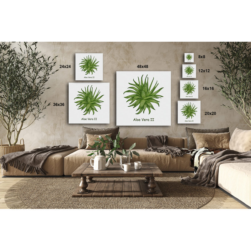 Cactus et plantes grasses 41 - reproduction sur toile tendue, H 8 po x l 8 po x P 1,5 po
