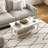 Joellen Coffee Table with Storage