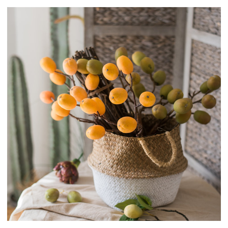 Tige de fruit pipa, vert